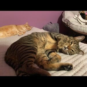 Meet your Posher, Sara